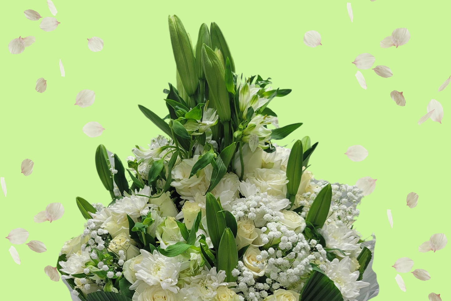 Regular Full Package (Red)