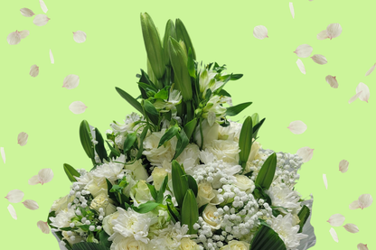 Regular Full Package (Red)